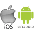 WABO App